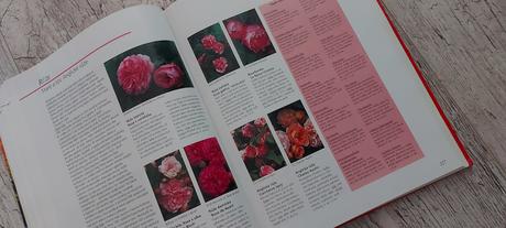 Zahrada vaše radost po cely rok, 