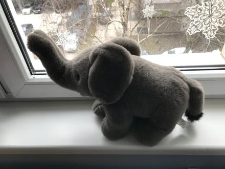 Slon plyšový -  50 cm, 
