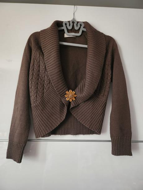 Sveter s brošňou, s
