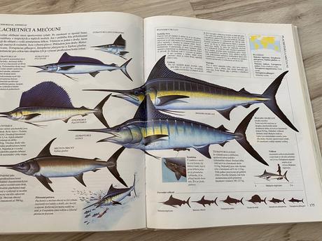 Krásna veľká obrazová encyklopédia pre rybárov, 