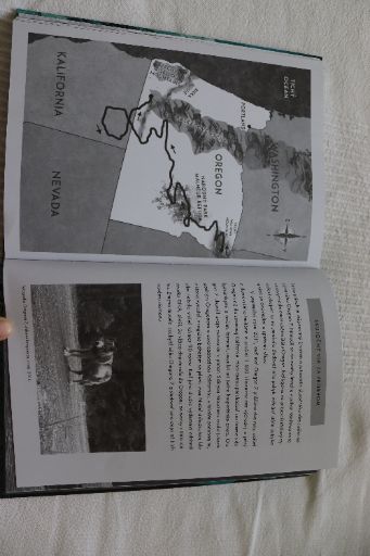 Rosanne perry - vlk menom tulák,