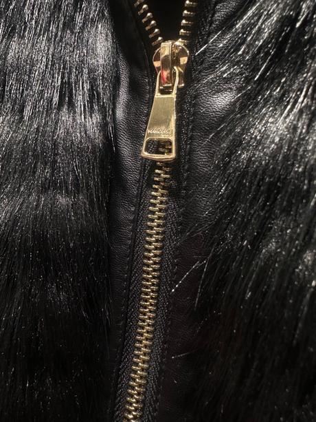 Vesta marciano, guess,s