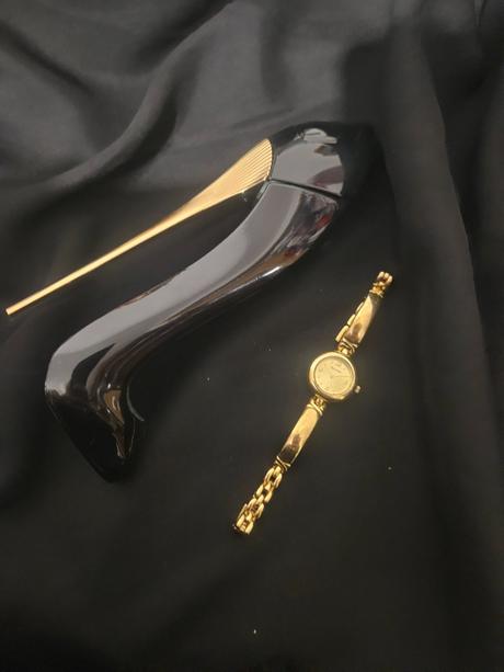 Hodinky pierre lannier, 