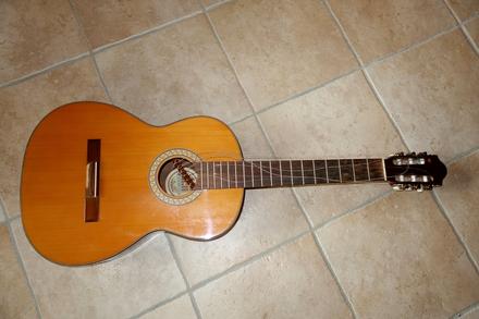 Darujem - utrhnutá kobylka, 