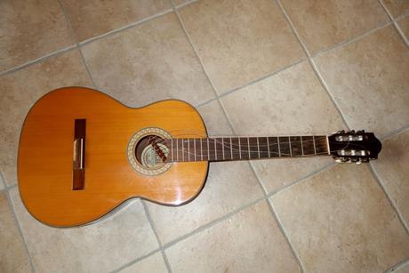 Darujem - utrhnutá kobylka, 