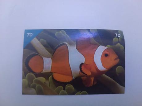 Nálepky animal kingdom, 