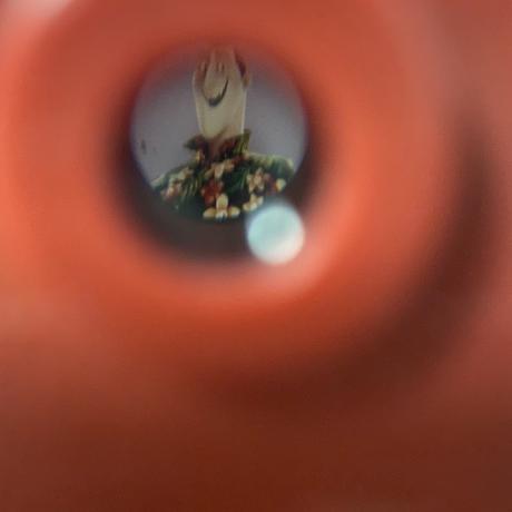 Fotoaparát hotel transylvánia, 