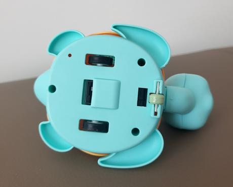 Chodiaca korytnačka, 