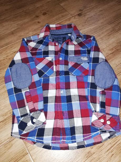 Kosela, palomino,110