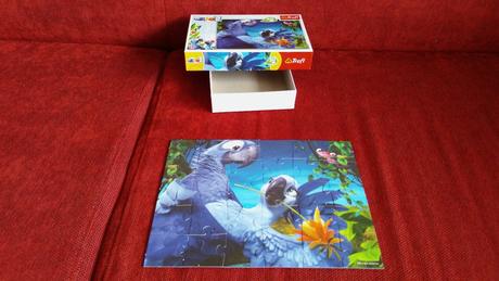 Puzzle - rio, 