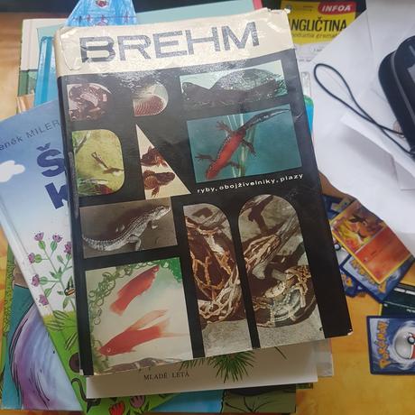 Kniha brehm, 