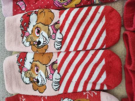 Labková patrola skye, 27