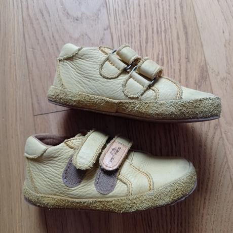 Pegres celoročky, pegres,26