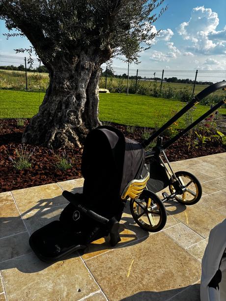 Cybex priam  jeremy scott wings, cybex