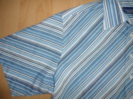 Kosela bledy modry pasik, l