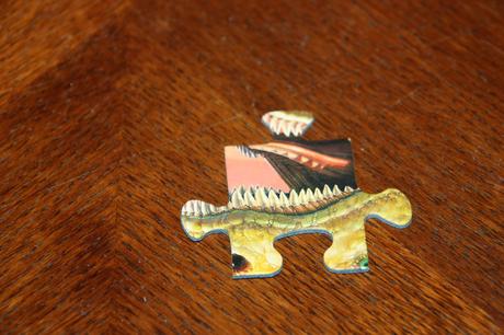 Puzzle dinosaury 100 xxl+200xxl + 3x 49, 