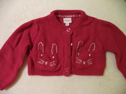 Svetrík, bluezoo,62