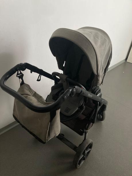 Kočík roan bloom, roan,roan bloom