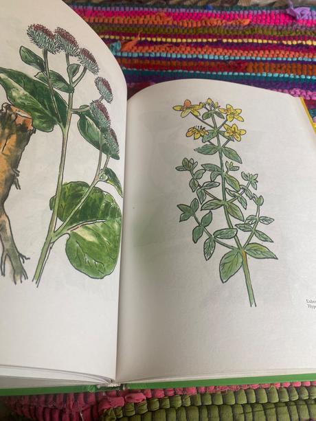 Zázrak menom fytoterapia liečivé byliny, 