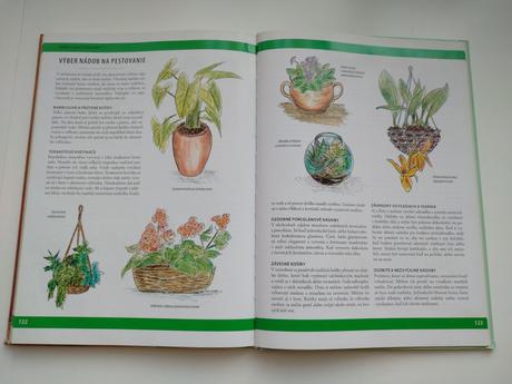 Pestujeme izbové rastliny, 