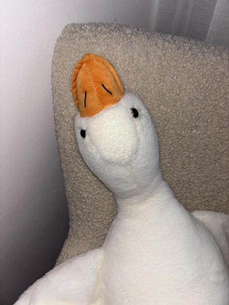 Megavelka kačka 105 cm,