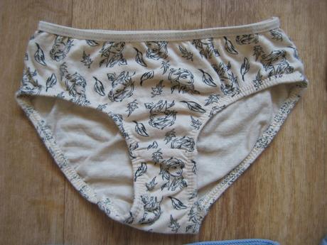 Spodné prádlo 4ks h&m elsa anna frozen, h&m,98