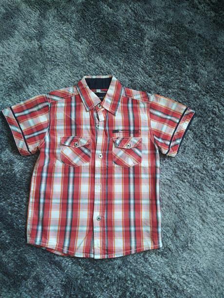 C&a kosele, palomino,110