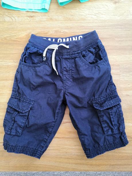 Kratasy, palomino,116