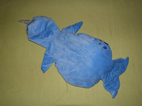 Kostym pre morskeho jednorozca,