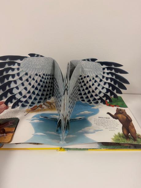 Pop up 3d kniha exreme animals,