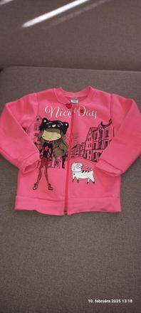 Teplejsia mikinka, 110