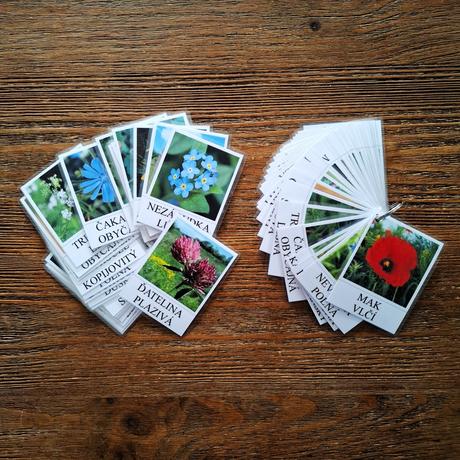 Kartičky jarné alebo letné kvety, 