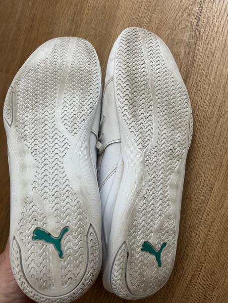 Halovky puma, puma,39