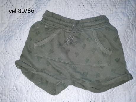 Kratasky kaktus, george,86