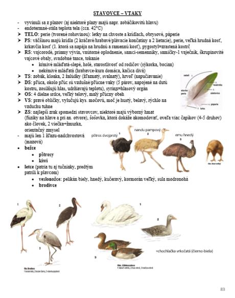 Poznámky na maturitu z biológie/prípravu na vš, 