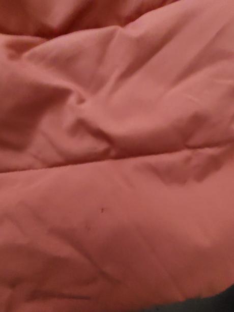 Zimna bunda, sinsay,110