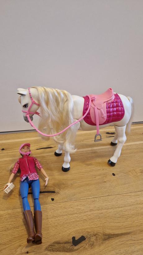 Mattel babika barbie a interaktivny kon dreamhorse, 