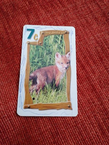 Spoločenská hra-karty, 