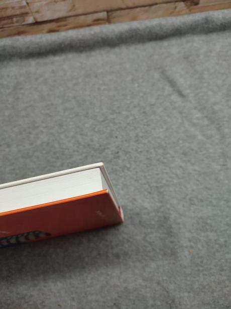 Management a organizační chování cz, 