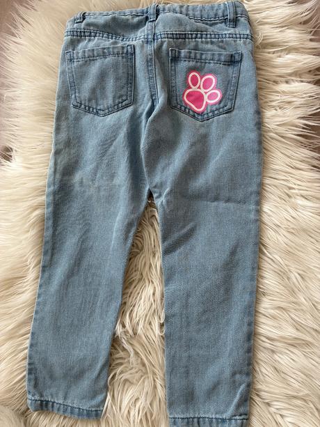 Rifle labkova patrola, nickelodeon,116