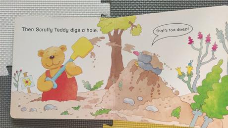 Scruffy teddy grows flowers top stav - 1b,