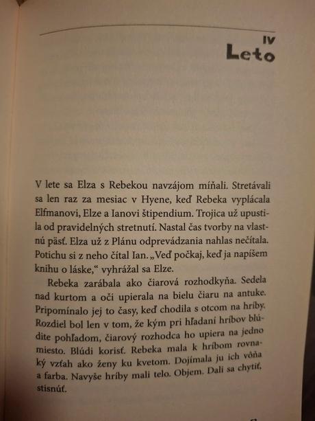 Kniha café hyena plán odprevádzania - jana beňová, 