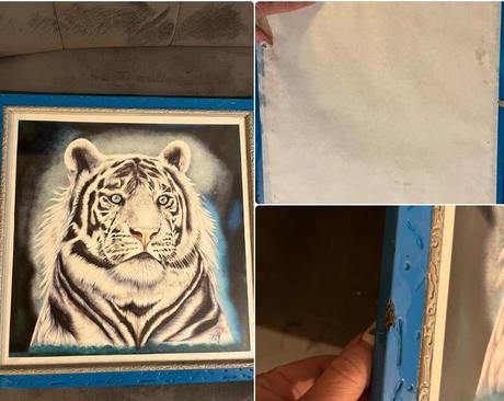 Obraz s ramom tiger, 