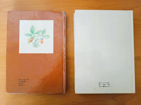 Starý slovenský jazyk pre 6 a 7 ročník zš,