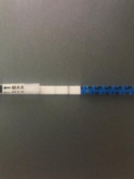 Ovulačný test po spontánnom potrate