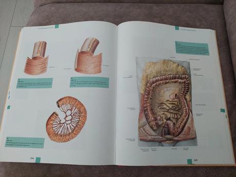 Atlas anatómie - nemecké vydanie, 