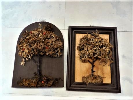 Naturálne obrázky 2 ks, 