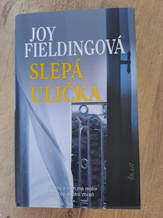 Kniha slepá ulička,