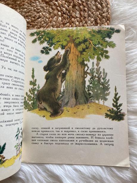 Ako borovica zachránila losíčatá s.afoňšin (1978),