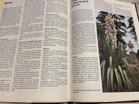 Krásna stará retro kniha zima v záhrade 1983, 